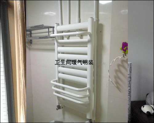 衛(wèi)生間暖氣片明裝圖