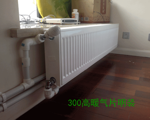 300高菲斯曼暖氣片