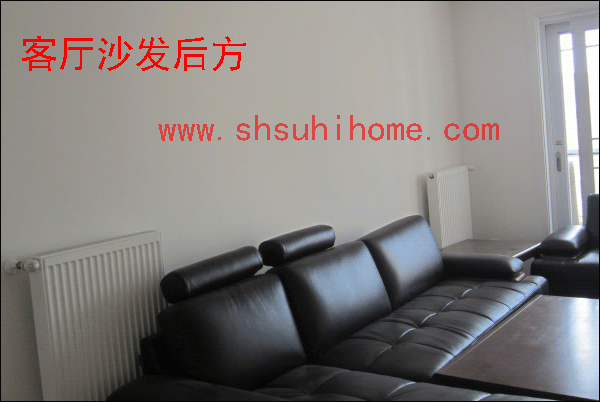 客廳沙發(fā)后面暖氣片裝修效果圖