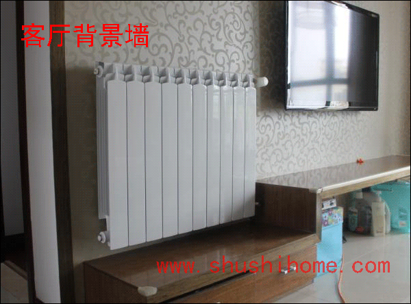 客廳暖氣片裝修效果圖