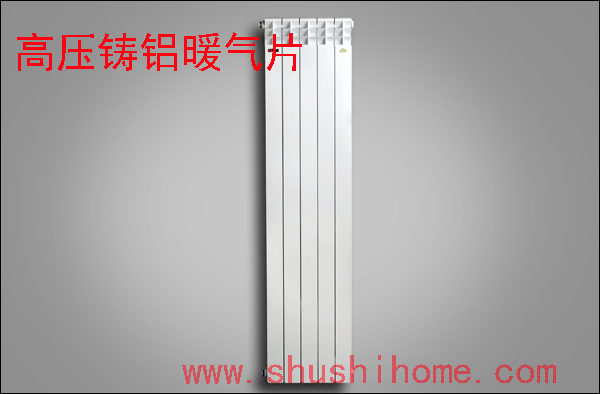 1600高高壓鑄鋁暖氣片效果圖