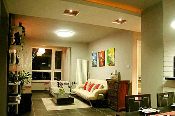 �͏dů��ƬЧ���D