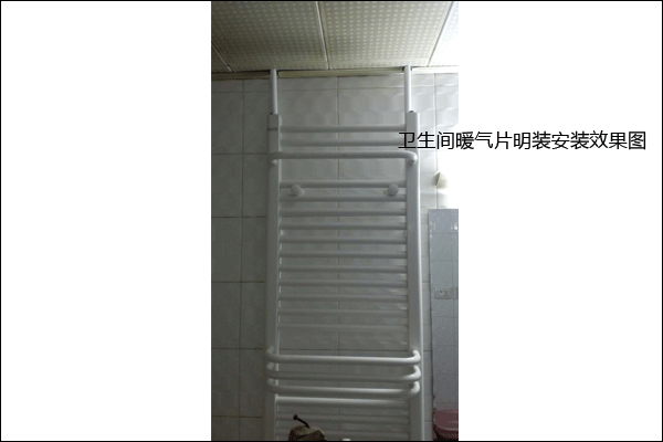 衛(wèi)生間暖氣片明裝效果圖