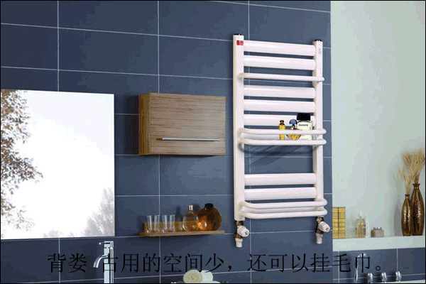 衛(wèi)生間暖氣片