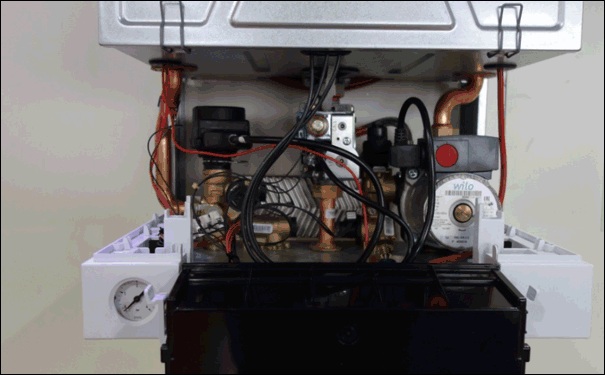 ��˹���ڒ�t�S��