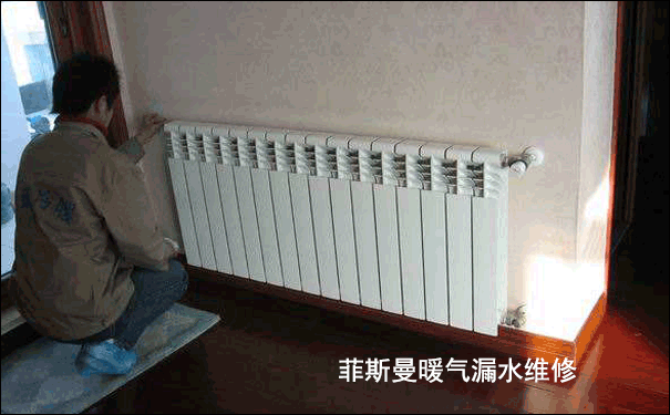 ��h��˹��ů��S��