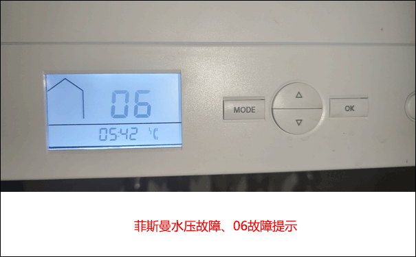 ��˹��06����