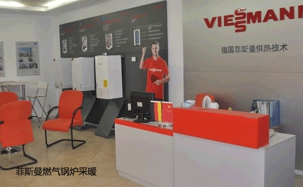 德國菲斯曼鍋爐