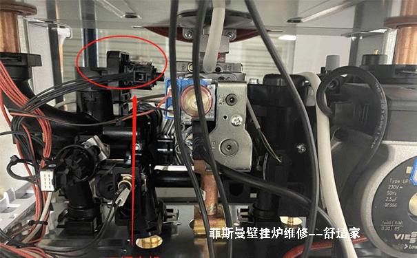 ��˹���ڒ�t�S��