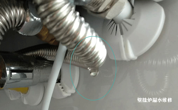 ��˹���ڒ�t�S��