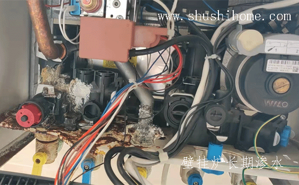 �ڒ�t�Bˮ�S��