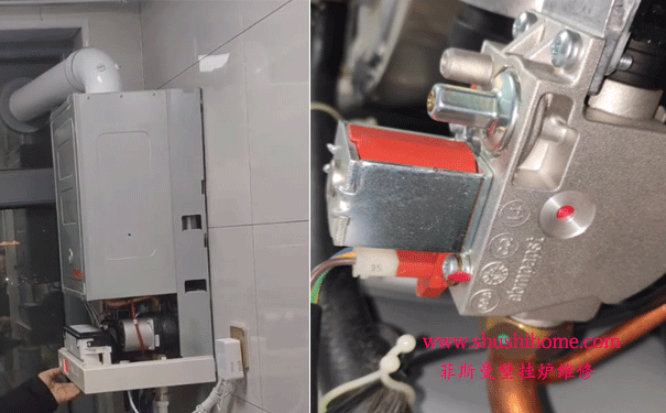 ��h��˹���ڒ�t�S��